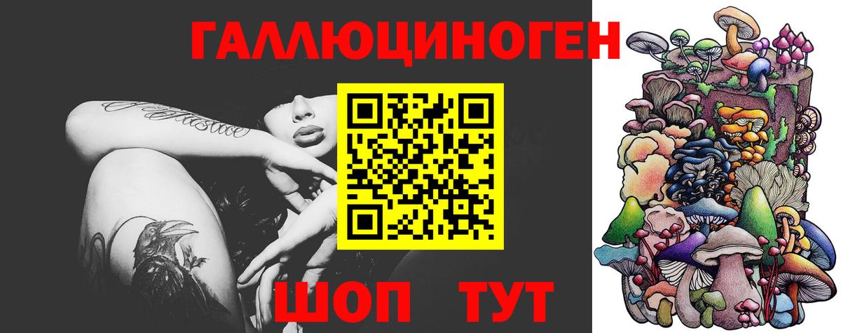 Псилоцибиновые грибы GOLDEN TEACHER  Вход с VPN  Нальчик 