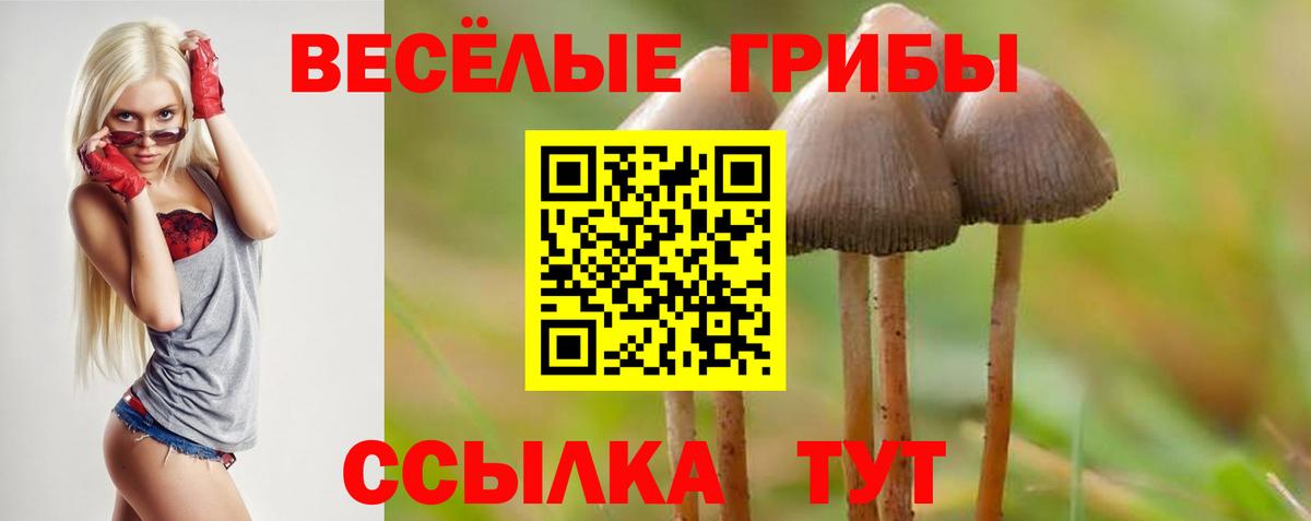 Галлюциногенные грибы Cubensis Нальчик