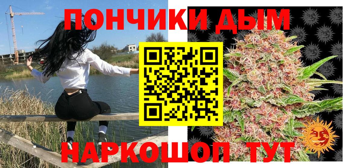 Каннабис план Нальчик